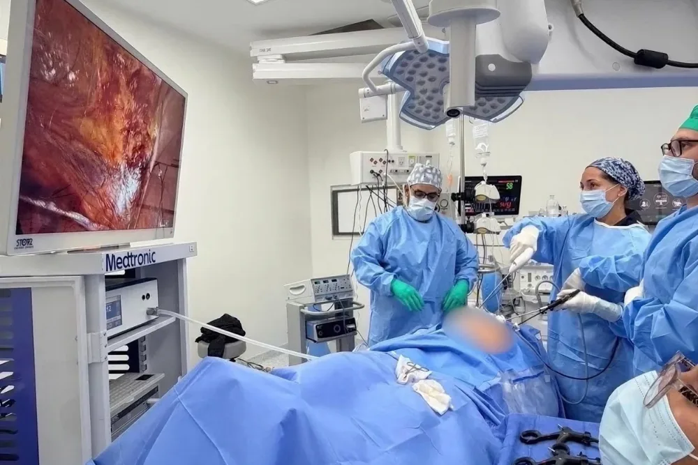 Hernias inguinales